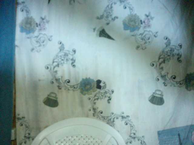 Uitzending screenshots Alicia7