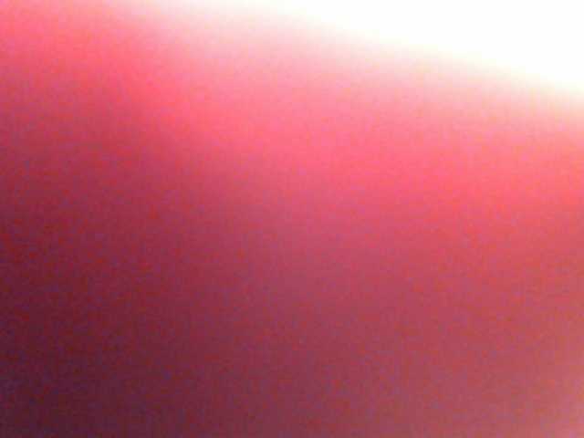 Uitzending screenshots anawild4you