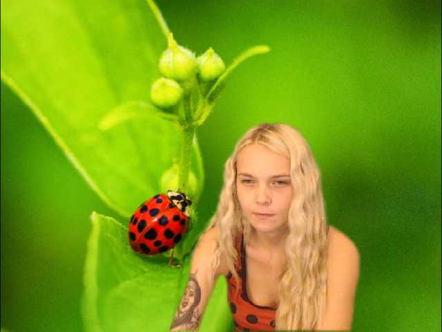 Foto's AnnaHappy18 ...the story of the lonely ladybug.