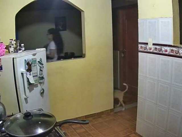 Uitzending screenshots anyqueen