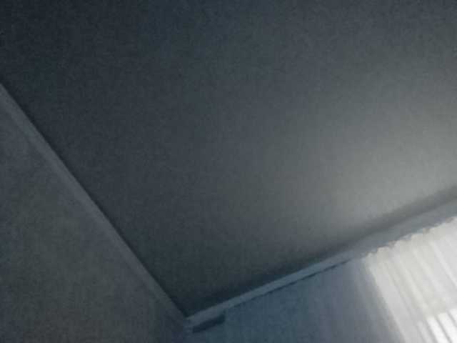 Uitzending screenshots b1ToorBoPussy