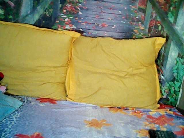 Uitzending screenshots bubbliciousbb