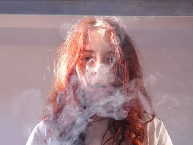 Foto van het profiel cato-avocato