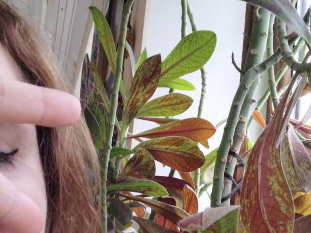 Foto van het profiel Crazycouple8