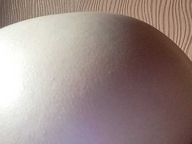 Uitzending screenshots Darinaray777