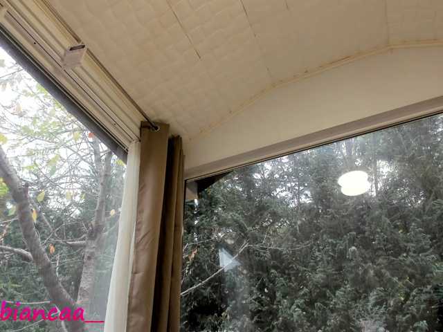 Uitzending screenshots Denise-Quinn