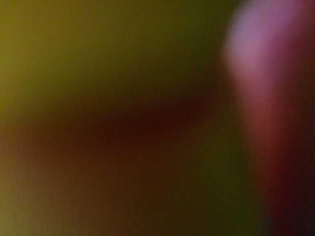 Uitzending screenshots DiiRolla