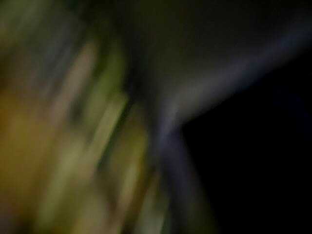 Uitzending screenshots DiiRolla