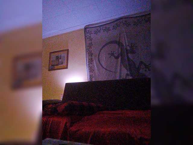 Uitzending screenshots Doggysx