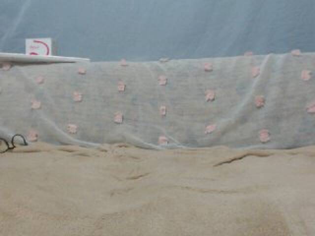 Uitzending screenshots DonnaWildJoyy