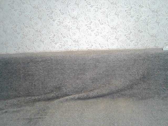 Uitzending screenshots ElegantBlonda