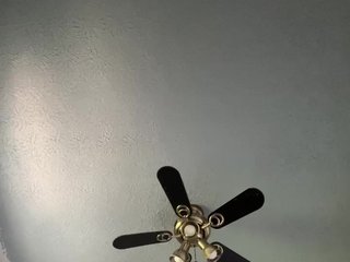 Erotische videochat Honeycunt