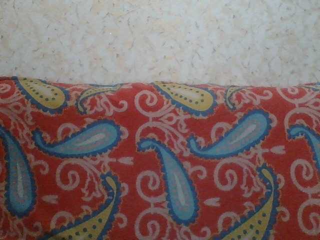 Uitzending screenshots Fantom-38