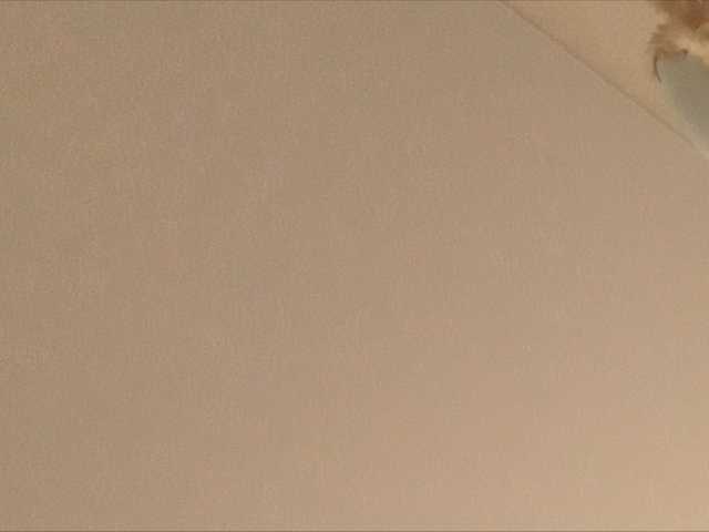 Uitzending screenshots fibi8590