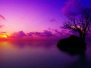 Erotische videochat florabella