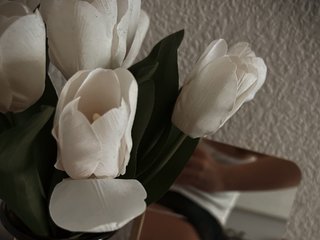 Erotische videochat ISweetI