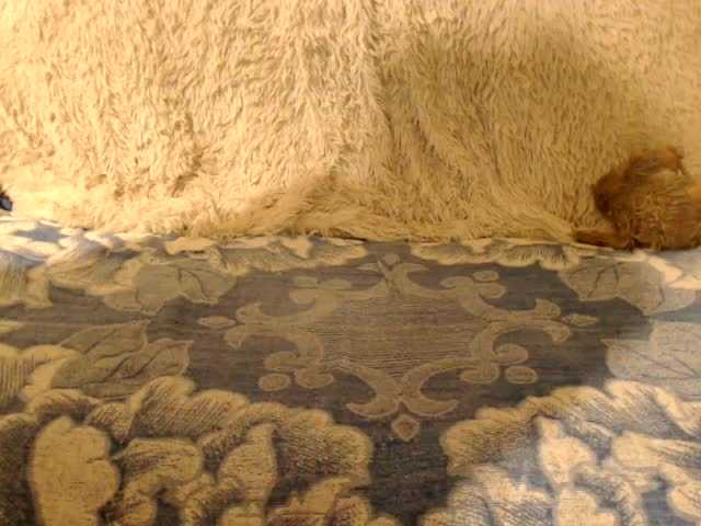 Uitzending screenshots La-lla