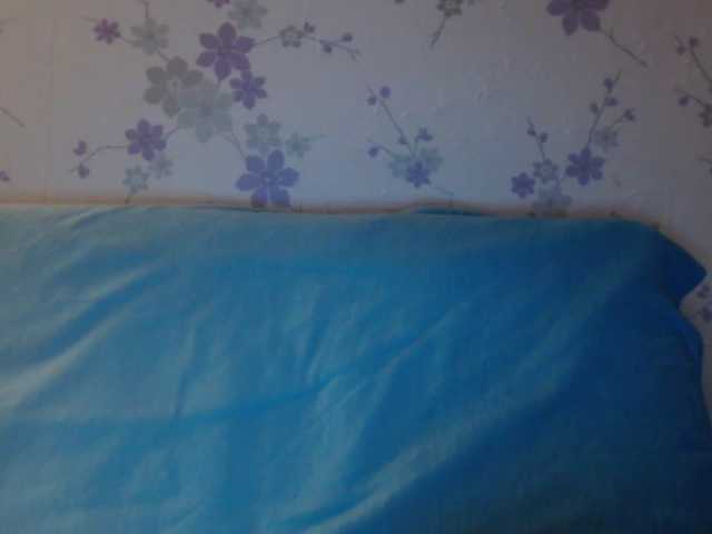 Uitzending screenshots littledevi