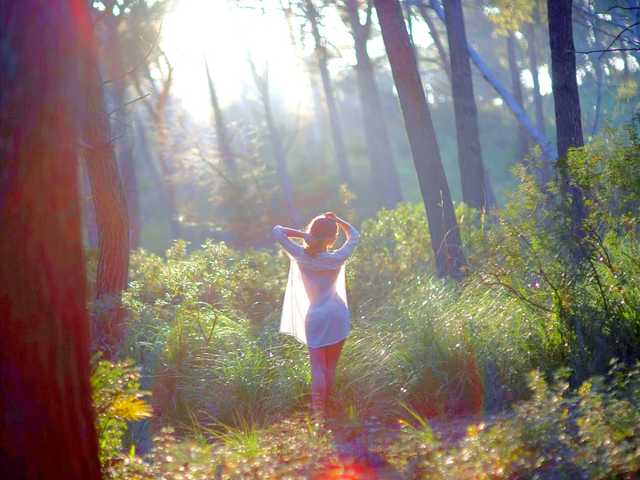 Foto van het profiel Fiery_Phoenix