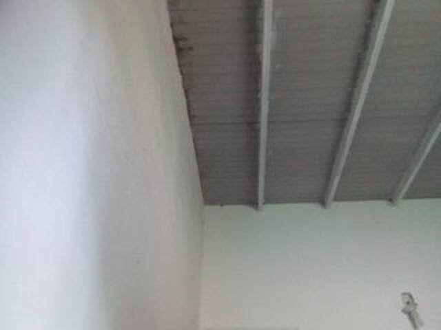 Uitzending screenshots misscute