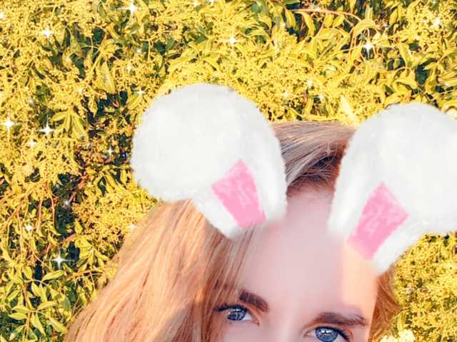 Foto van het profiel Nilkibunnyxo
