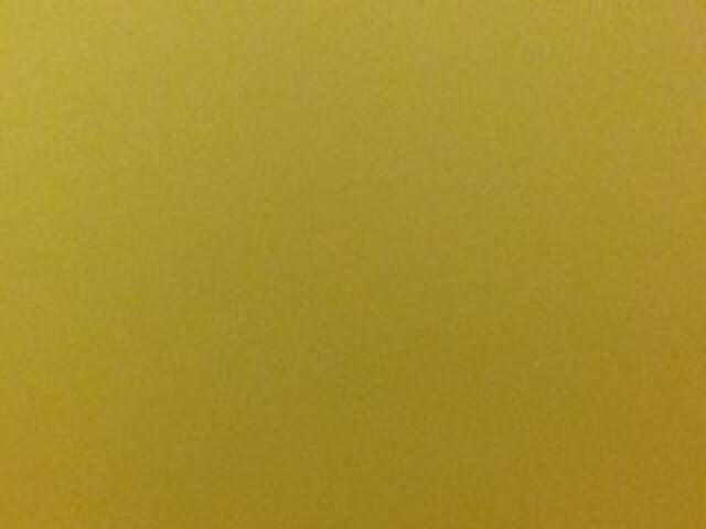 Uitzending screenshots OceanyCat