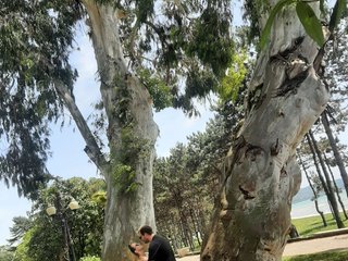 Erotische videochat PUPI-DEL-REY