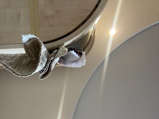 Erotische videochat Pussynajussy