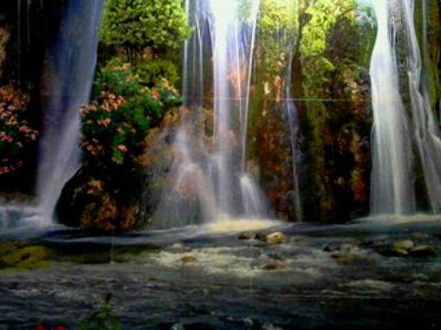 Uitzending screenshots regiha