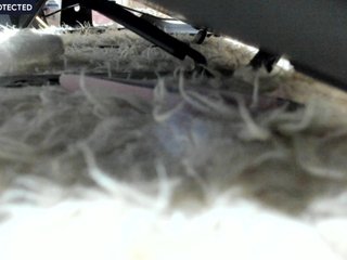 Erotische videochat Dream_Girl