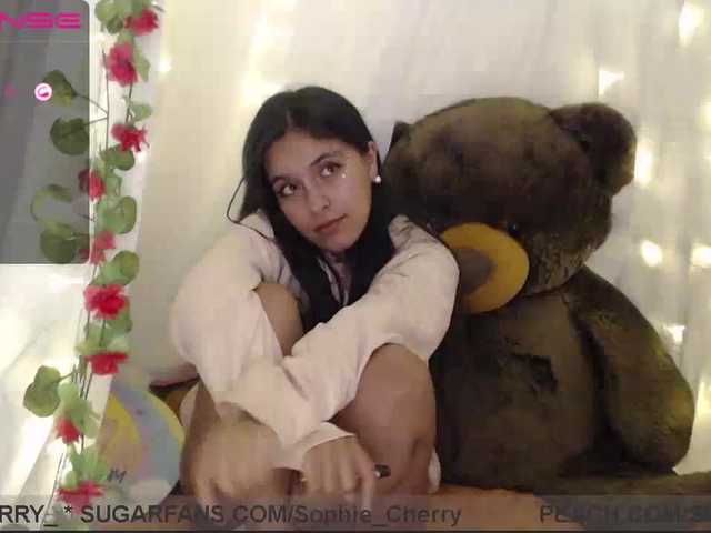 Uitzending screenshots soficute