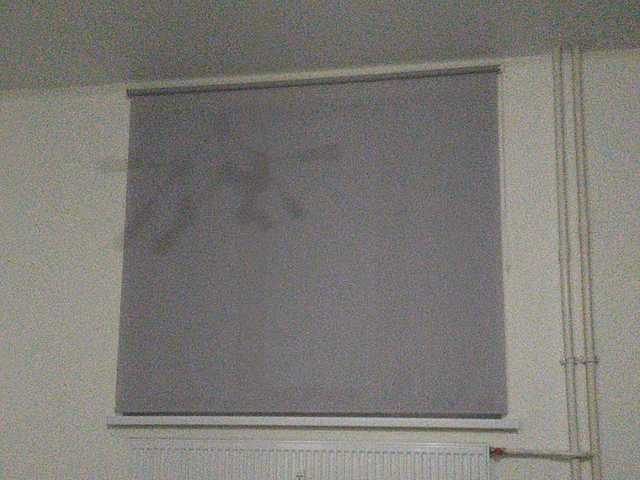 Uitzending screenshots Stasyaa