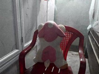 Erotische videochat Susu-21