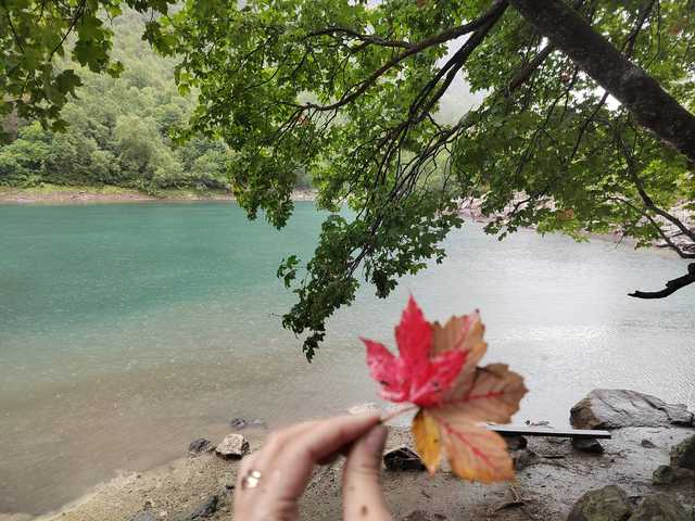 Foto van het profiel _GoodGirl_