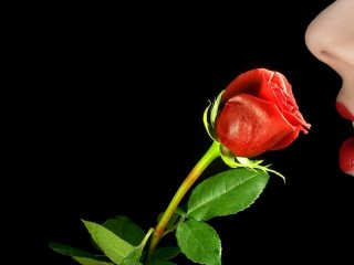 Foto van het profiel xxsweetlady